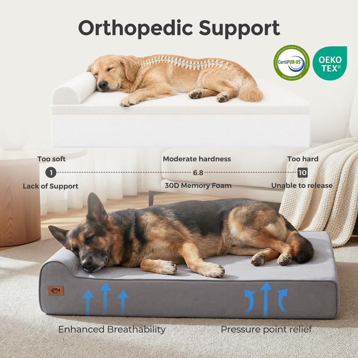 XXL 35D Memory Foam Dog Bed for Extra Large Dogs (Style A-Grey / X-Large)