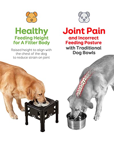 Elevated Dog Bowls (Black)