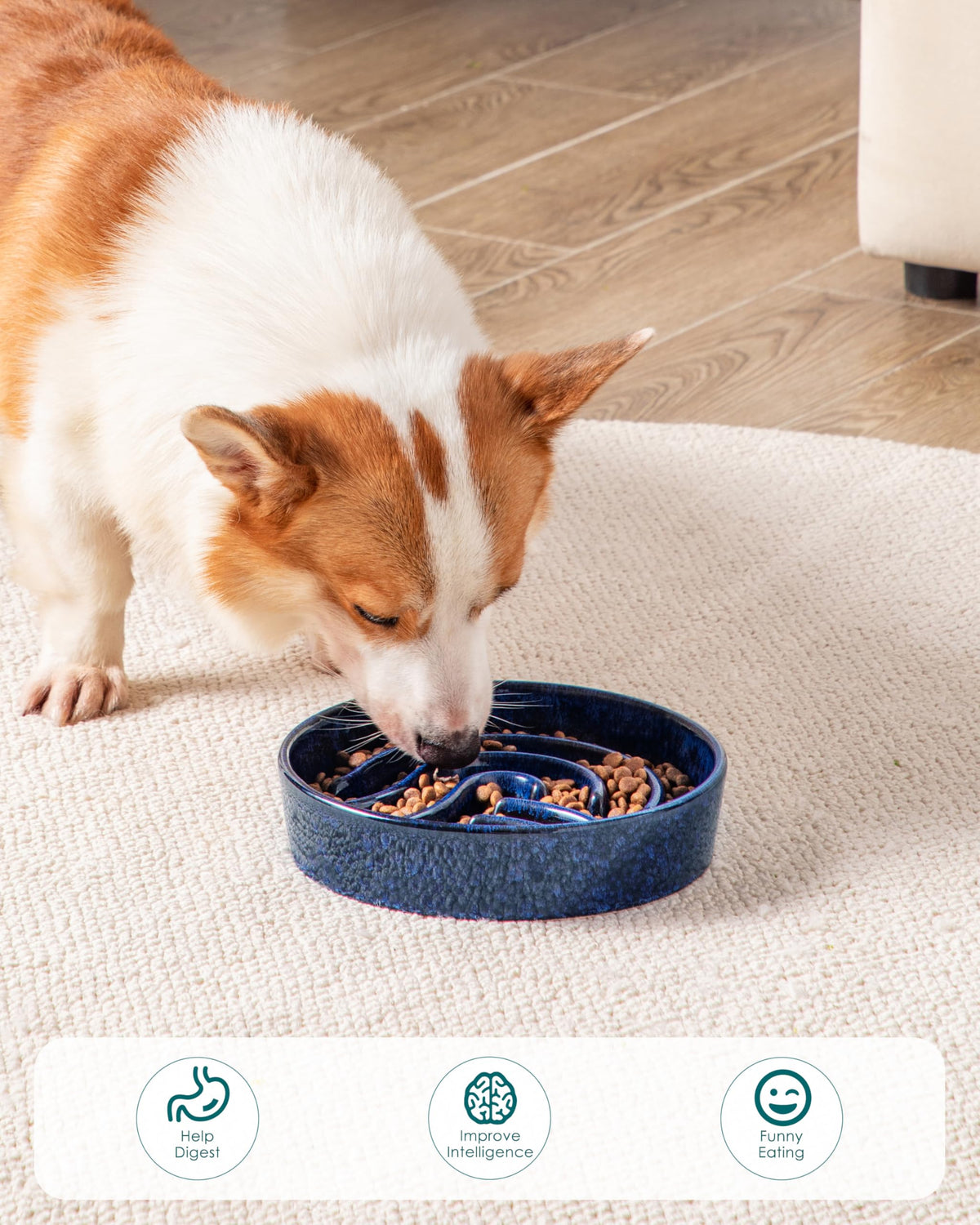 Slow Feeder Dog Bowl (Blue / 1.5 Cups)