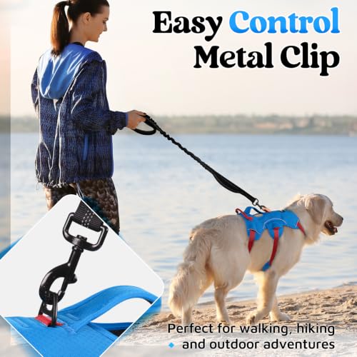 Escape Proof Dog Harness for Medium (Red & Blue / Medium)