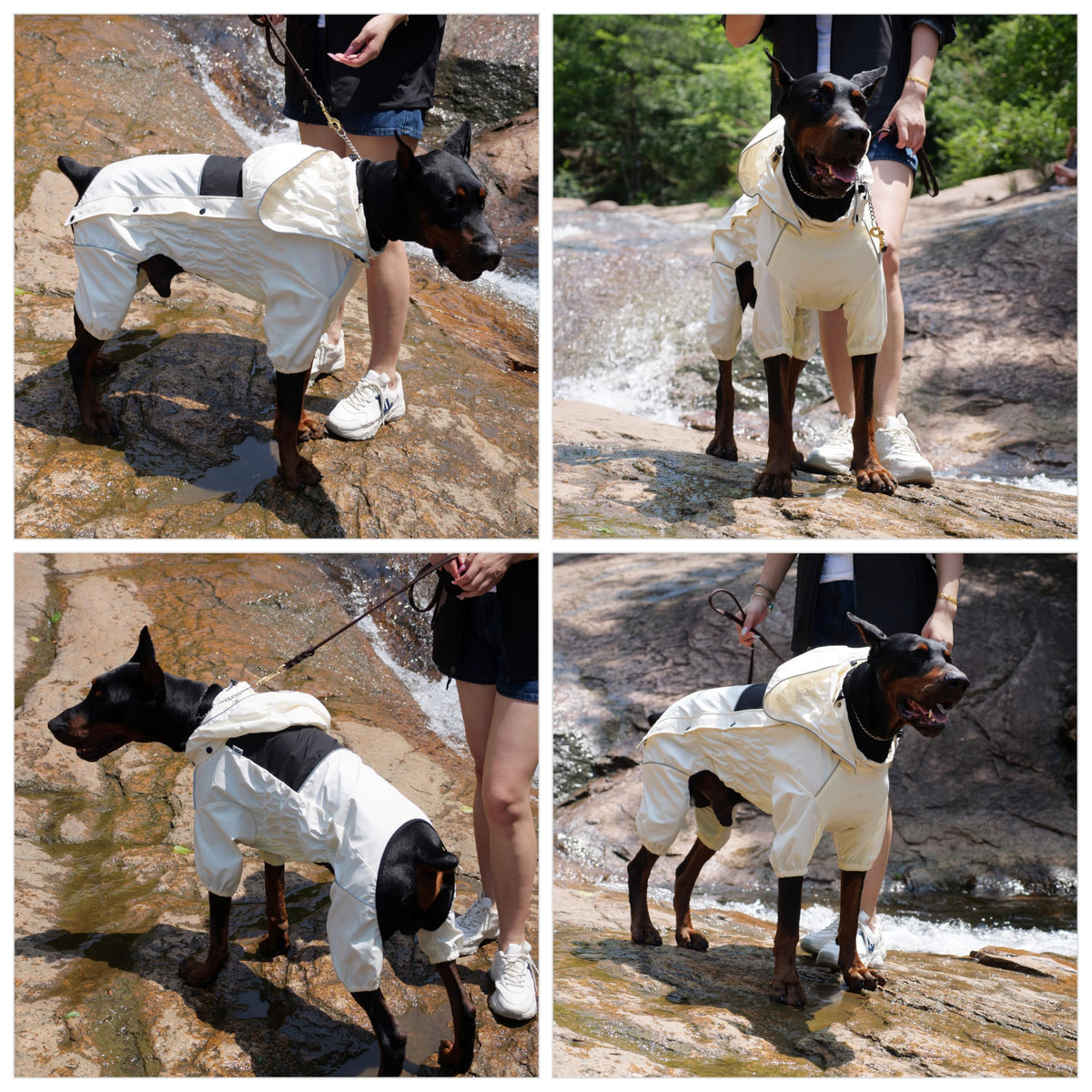 Waterproof Dog Raincoat with Removable Hood (Ivory / XL (Back 18"))