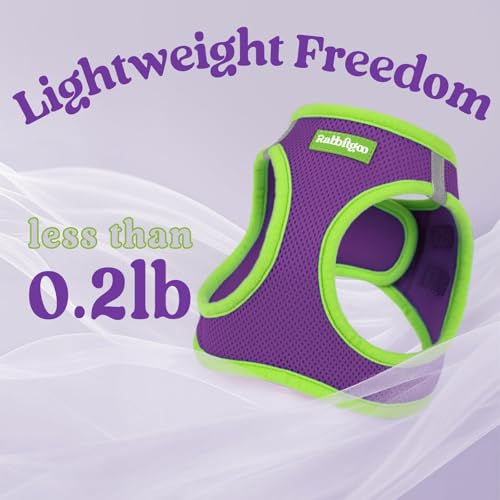 Dog Harness Small Sized and Leash Set (Purple & Green / XS (Chest: 13.3"-15.5"))