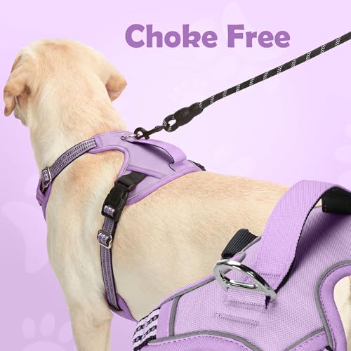 Dog Harness No Pull (Purple / Large)