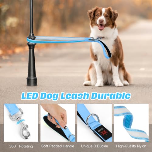 Light Up Dog Leash