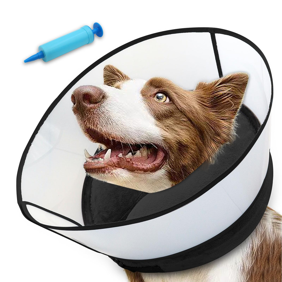 Inflatable Dog Cone Collar (M+ (Neck: 12-15") / Black)