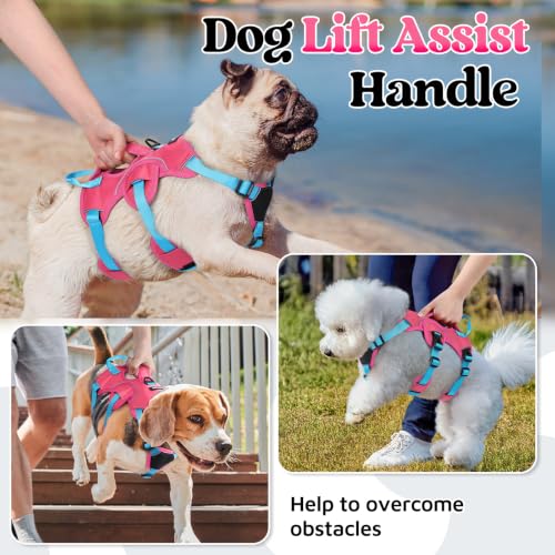 Escape Proof Dog Harness for Small (Sky & Peach & Rose / Small)