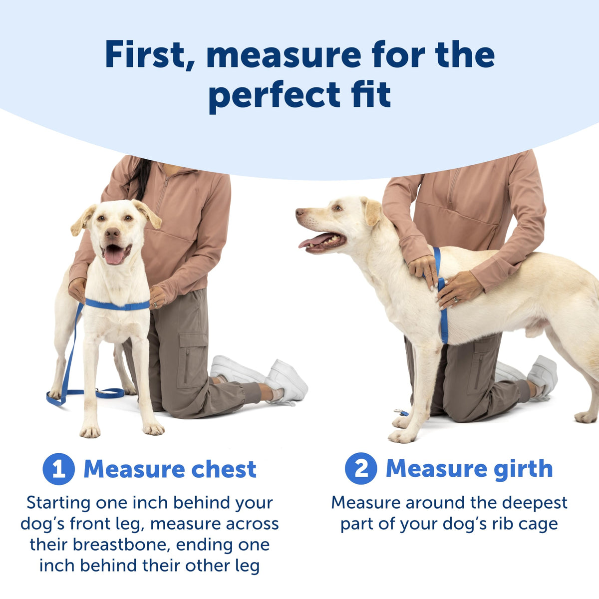 Easy Walk Harness for Dogs (Small / Royal Blue/Navy Blue)