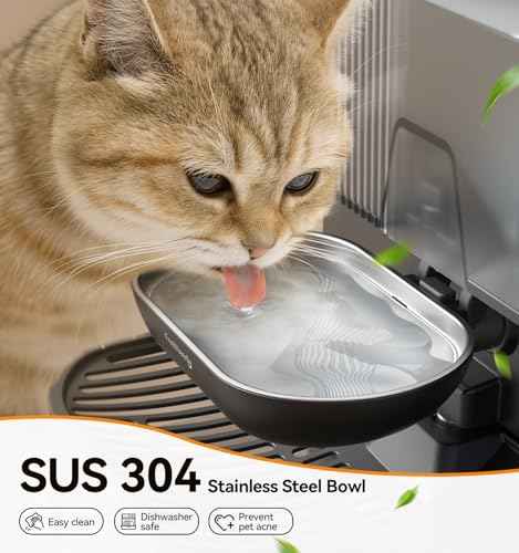 Cat Water Fountain