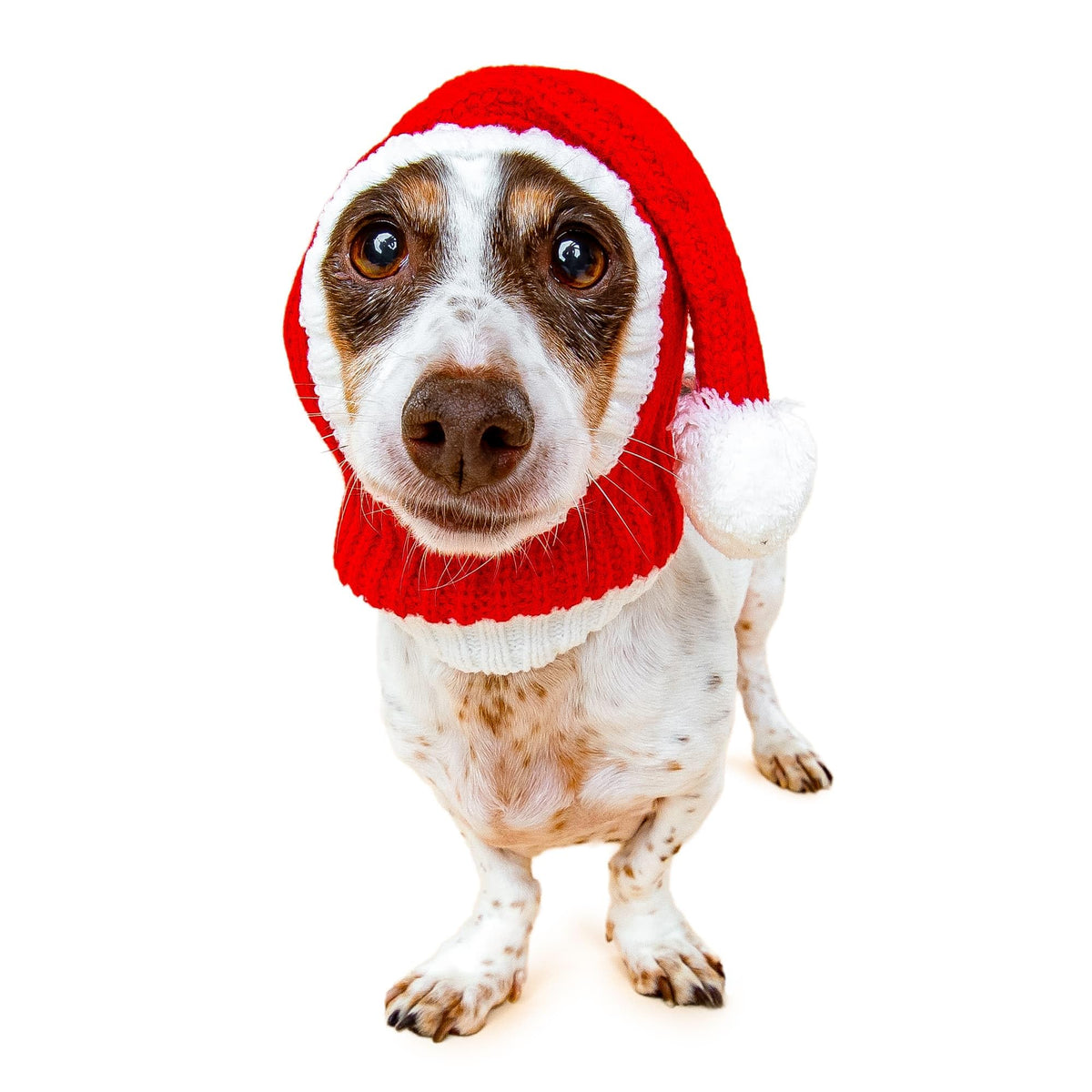 Christmas Santa Hat Costume (Santa Hat / Medium)