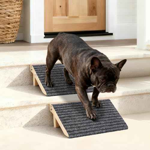 Foldable Dog Ramp for Stairs (Foldable / 2 PACK-FLD 13.8"Lx10.2"Wx4.3"H)