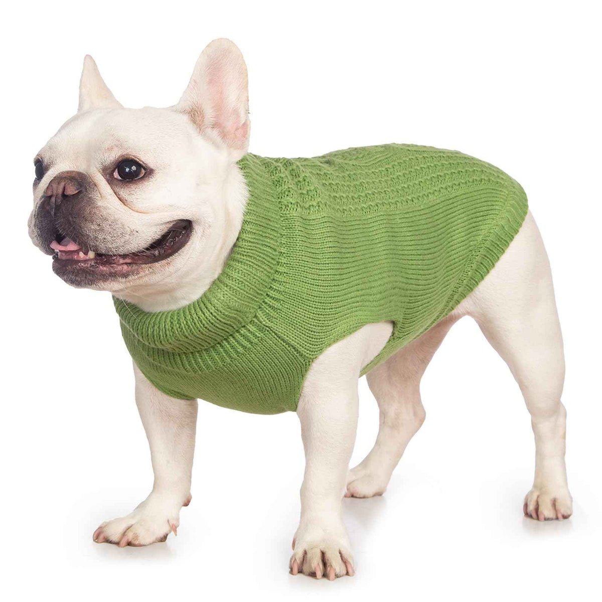 Cat Sweater Stretchy (Olive Green / XXL)