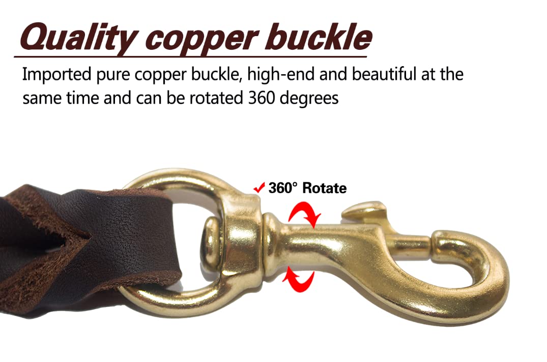 Heavy Duty Genuine Leather Dog Leash 6ft x 5 (6 ft x 5/8 inch / Brown)