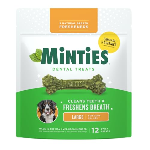 Mint Dental Chews for Dogs (Large Dogs - 16oz)