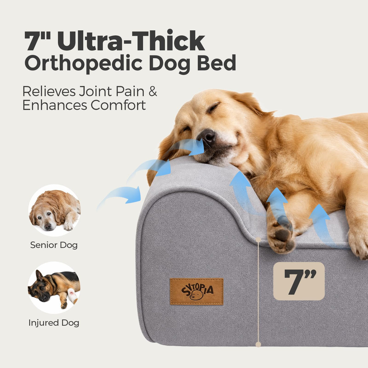 XXL 35D Memory Foam Dog Bed for Extra Large Dogs (Style A-Grey / X-Large)