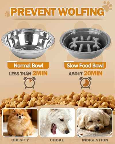 Elevated Dog Bowls for Small Dogs and Cats with Mat (for Small Dogs 1 Basic&1Slow Bowl with Mat / Black)