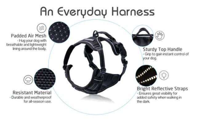Dog Harness No Pull for Large Dogs with 2 Leash Clips (Large / Black)