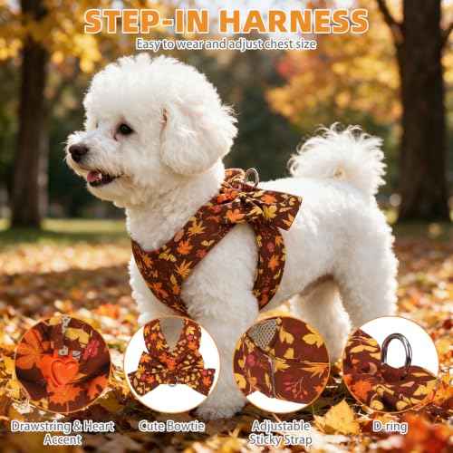 Fall Dog Harness and Leash Set for Small Medium Dogs (Brown / S (Chest Girth: 13.8"-15.7"))