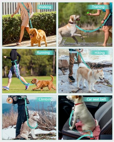 Hands Free Dog Leash with Seatbelt Set (Green / 71-114‘’)