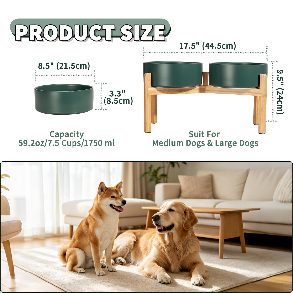 Elevated Ceramic Dog Bowl Set (Green / Large)