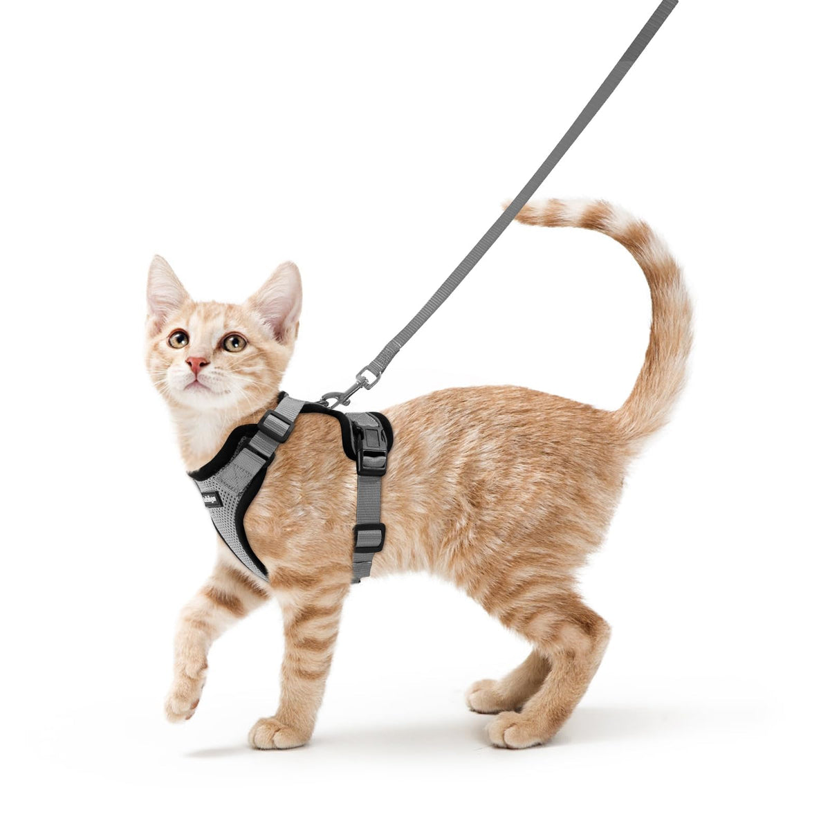 Cat Harness and Leash Set (Xs / Grey)