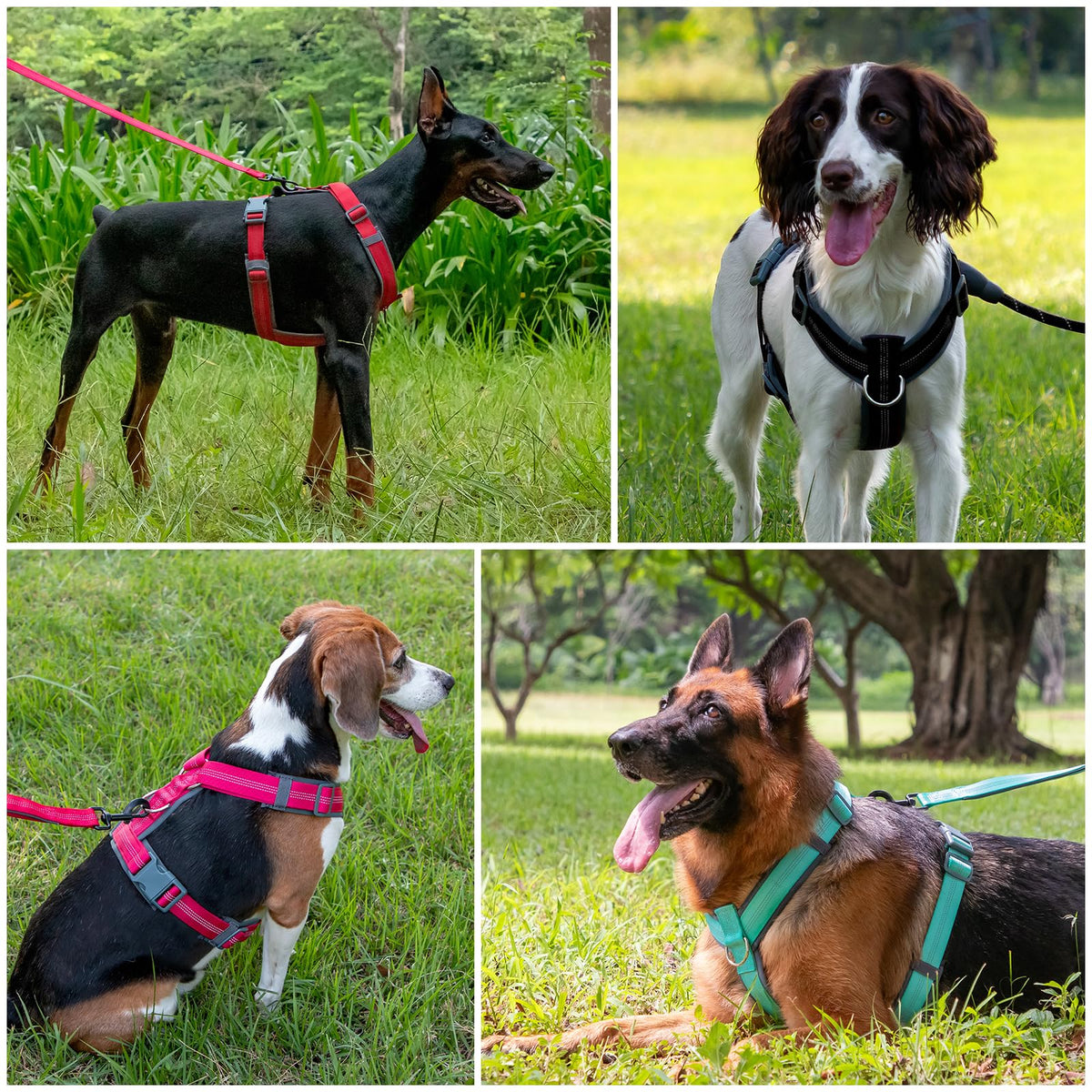 No Pull Dog Harness (XS / Hot Pink)