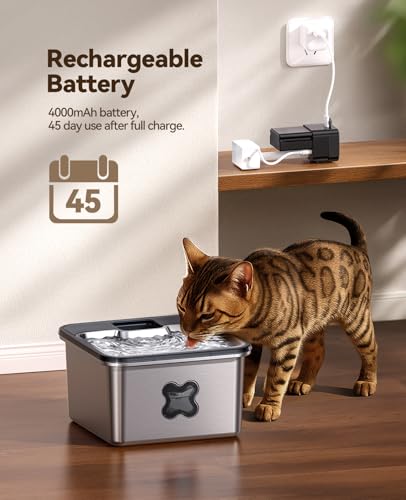 Cat Water Fountain Wireless + 6 Filters