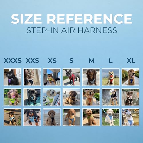 Voyager Step in Air All Weather Mesh Harness and Reflective Dog 5ft Leash Combo with Neoprene Handle (Lavender / S (Chest: 14.5 - 16"))