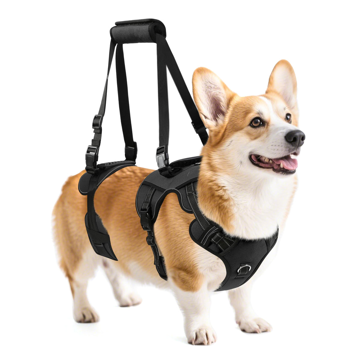 Dog Lift Harness (Black-1 / Medium)