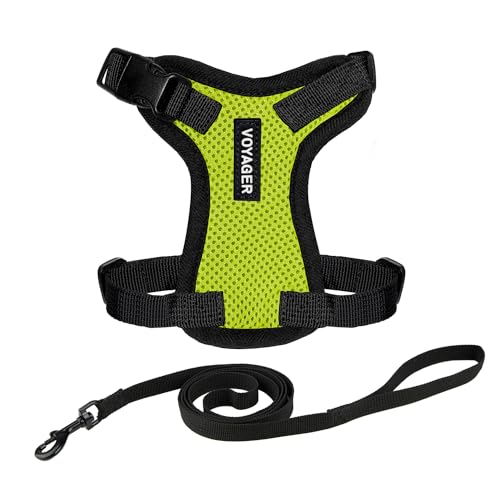 Voyager Step in Lock Cat Harness & Leash Set (Lime Green/Black Trim / S (Chest: 15 - 18"))