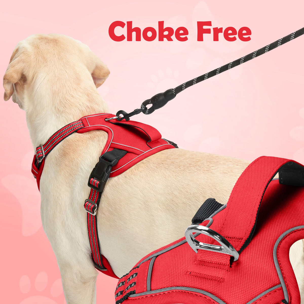 Dog Harness Small Sized Dog (Red / Small)