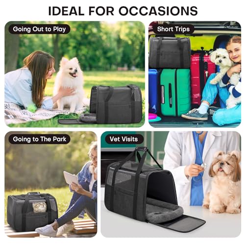 JUNGYOUN Premium Cat Carrier (Dark Grey / 17.5"L x 12.4"W x 13.5"H)