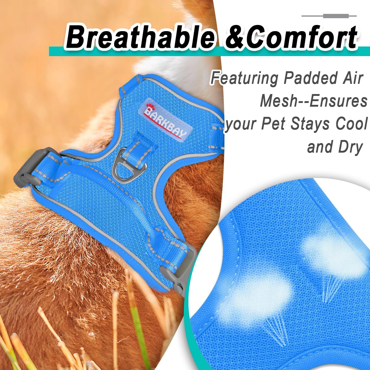 Dog Harness for Small Sized Dog No Pull Mesh 2 Clips Dog Vest (Blue-Mesh / Small)