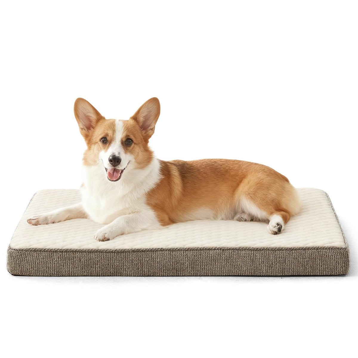 Orthopedic Medium Dog Bed (M(29"x18") / Beige)