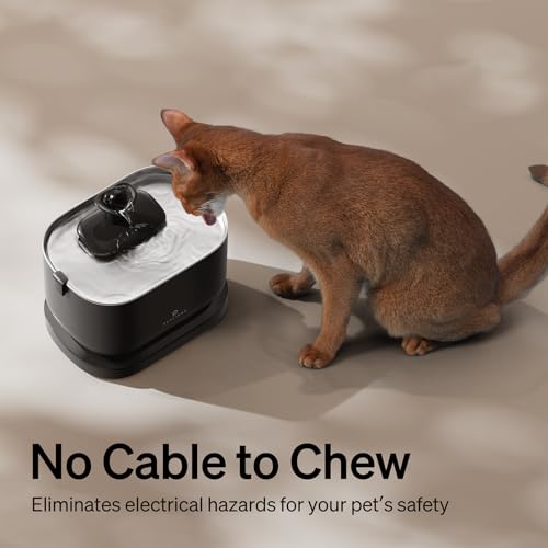 Dockstream 1 Cat Water Fountain (Black / Cordless Fountain)