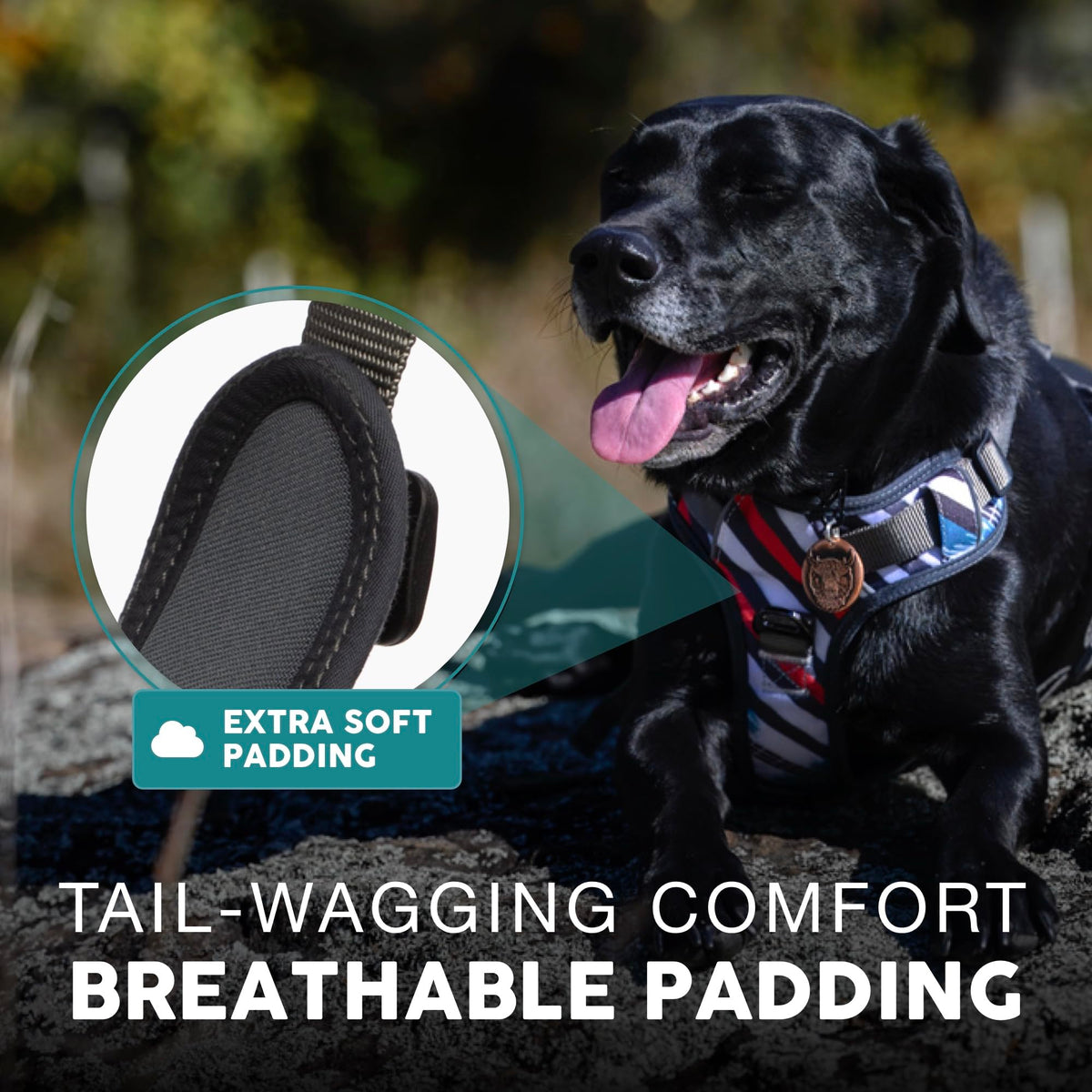 Embark No Pull Dog Harness (XL / Maverick)