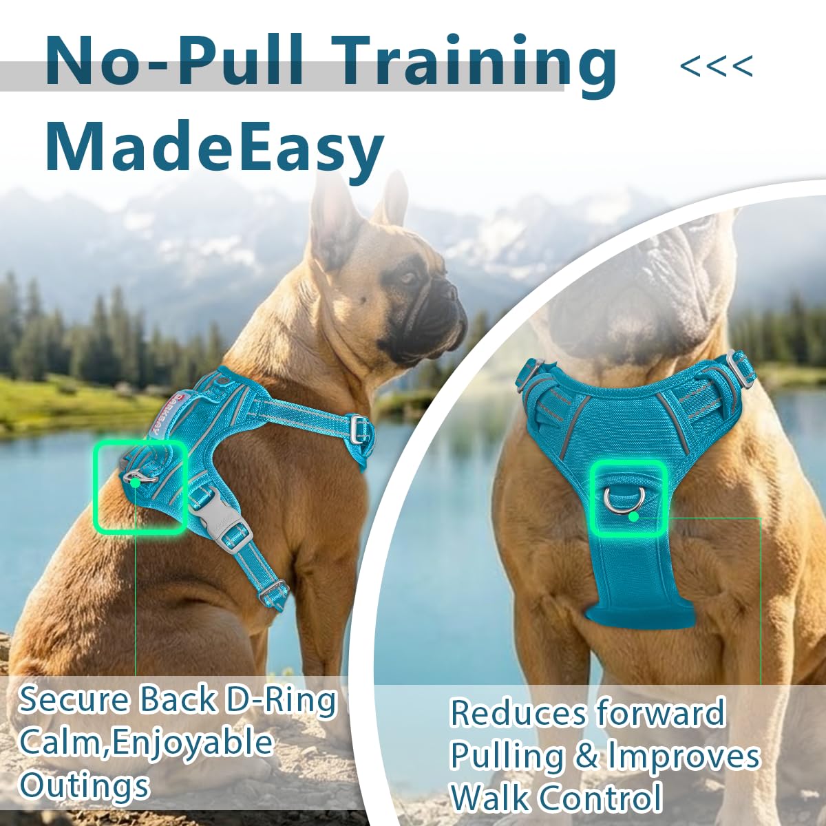No Pull Dog Harness for Large Dogs (Aqua-Oxford / X-Large(Chest:30-38”))
