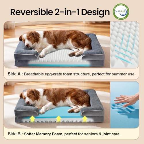 Orthopedic Medium Large Dog Bed Sofa (35" x 22" x 6.5"(Crate Fit) / 01-Gray)