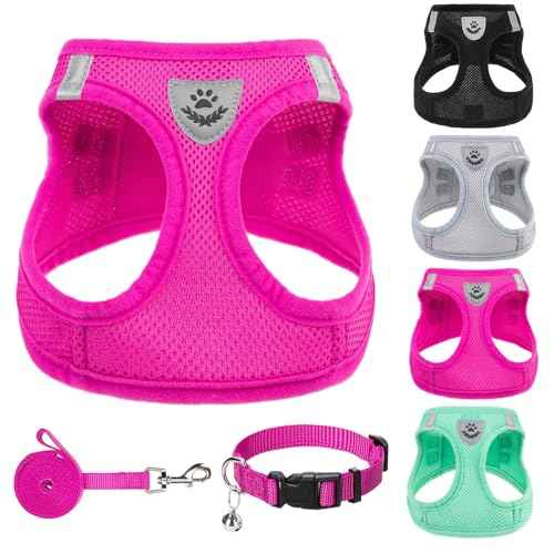Dog Harness Collar and Leash Set No Pull for Small Medium Sized (Solid DeepPink / XL (CHEST 20"-22"))