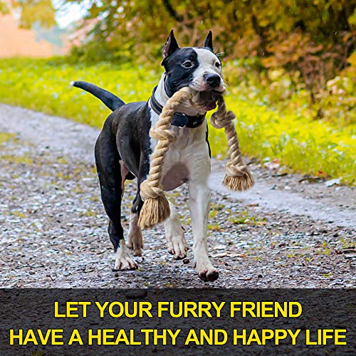 Dog Rope Toys for Aggressive Chewers (White-5 knots / Large)