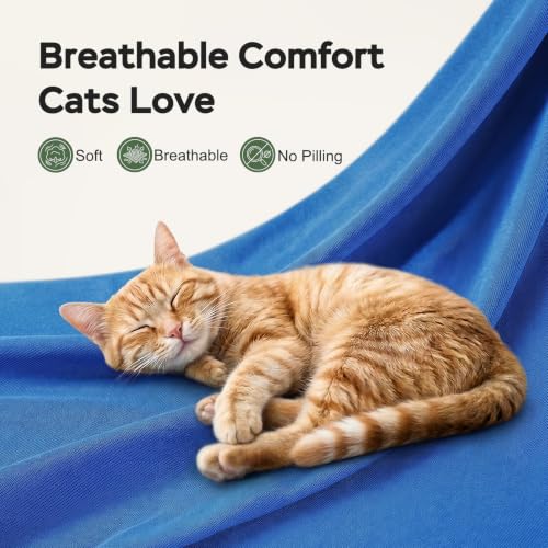 Cat Wrap for Cutting Nails (S(5-10lbs) / Blue)