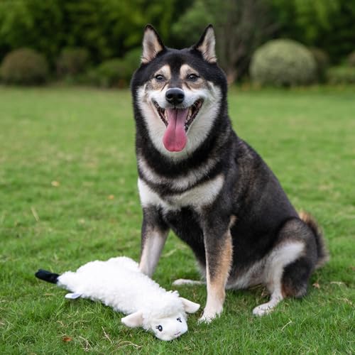 2-in-1 Stuffless Squeaky Dog Toy - zSheep, Cow, Large (Multicolor/Sheep & Cow / Large)