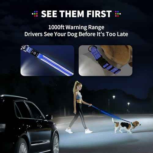 LED Dog Leash (Green / 6 feet)