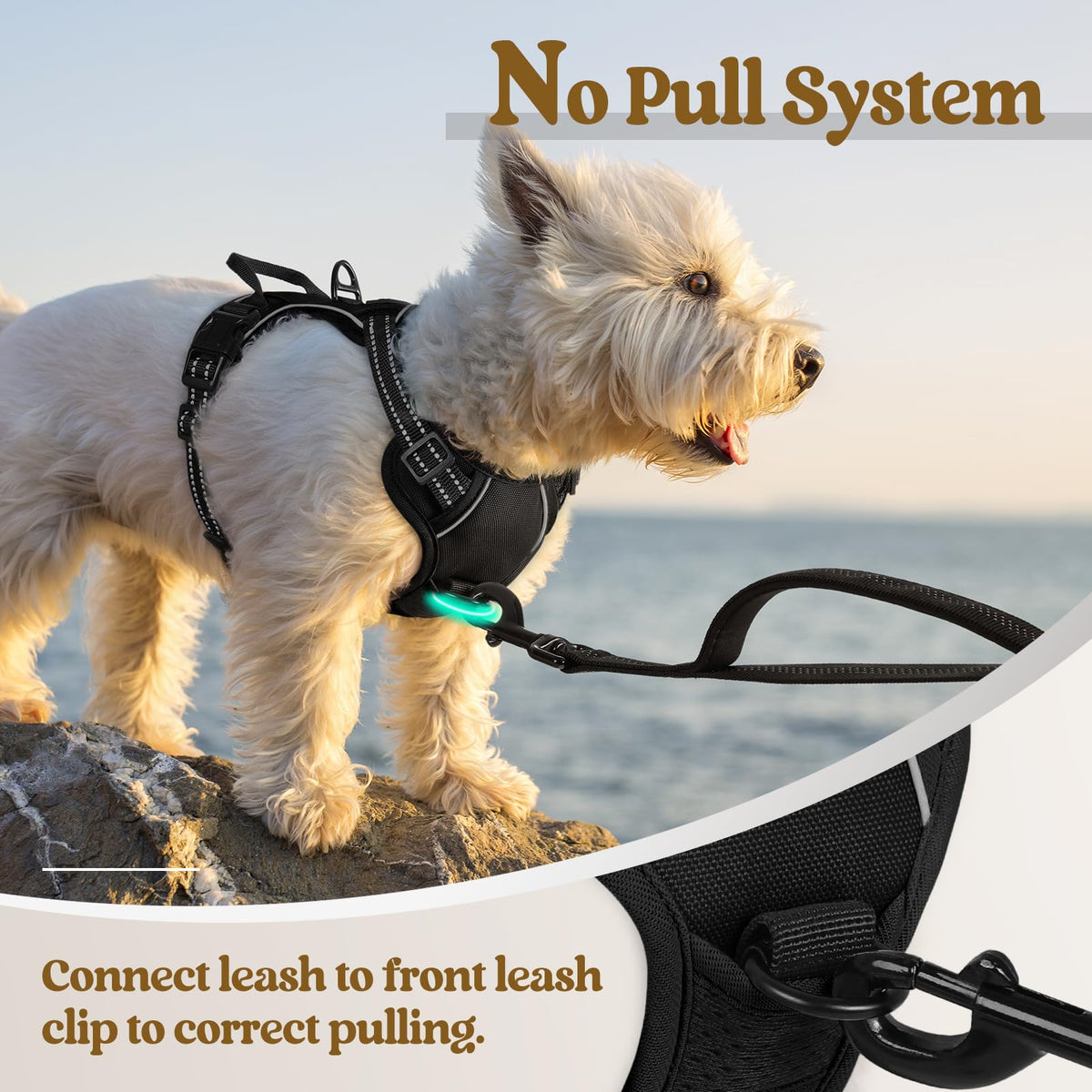 Dog Harness No Pull for Small Dogs with 2 Leash Clips (X-Small / Black)