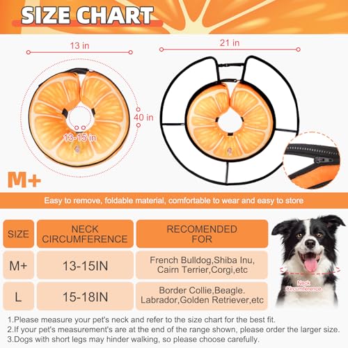 Inflatable Dog Cone Collar Alternative After Surgery (Orange with a transparent border / M+ (Neck:13-15in))