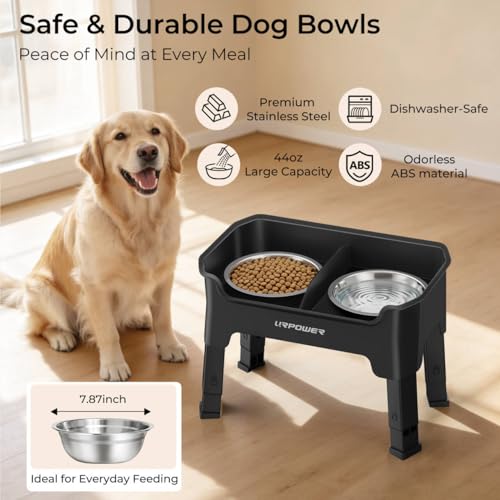 Mess Proof Elevated Dog Bowls (Black / Medium)