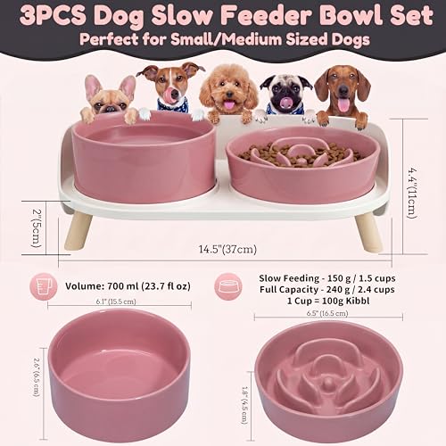 Elevated Slow Feeder Dog Bowls with Splash Proof Stand (Medium / Pink)