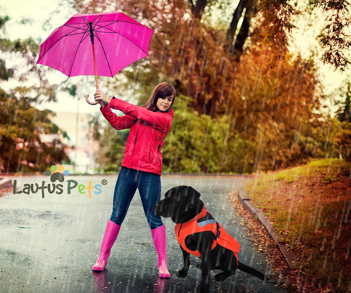 Waterproof Dog Rain Coat (Orange / Small)