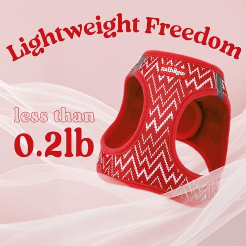 Dog Harness Small Sized and Leash Set (Red Wave / M (Chest: 16.0"-18.5"))