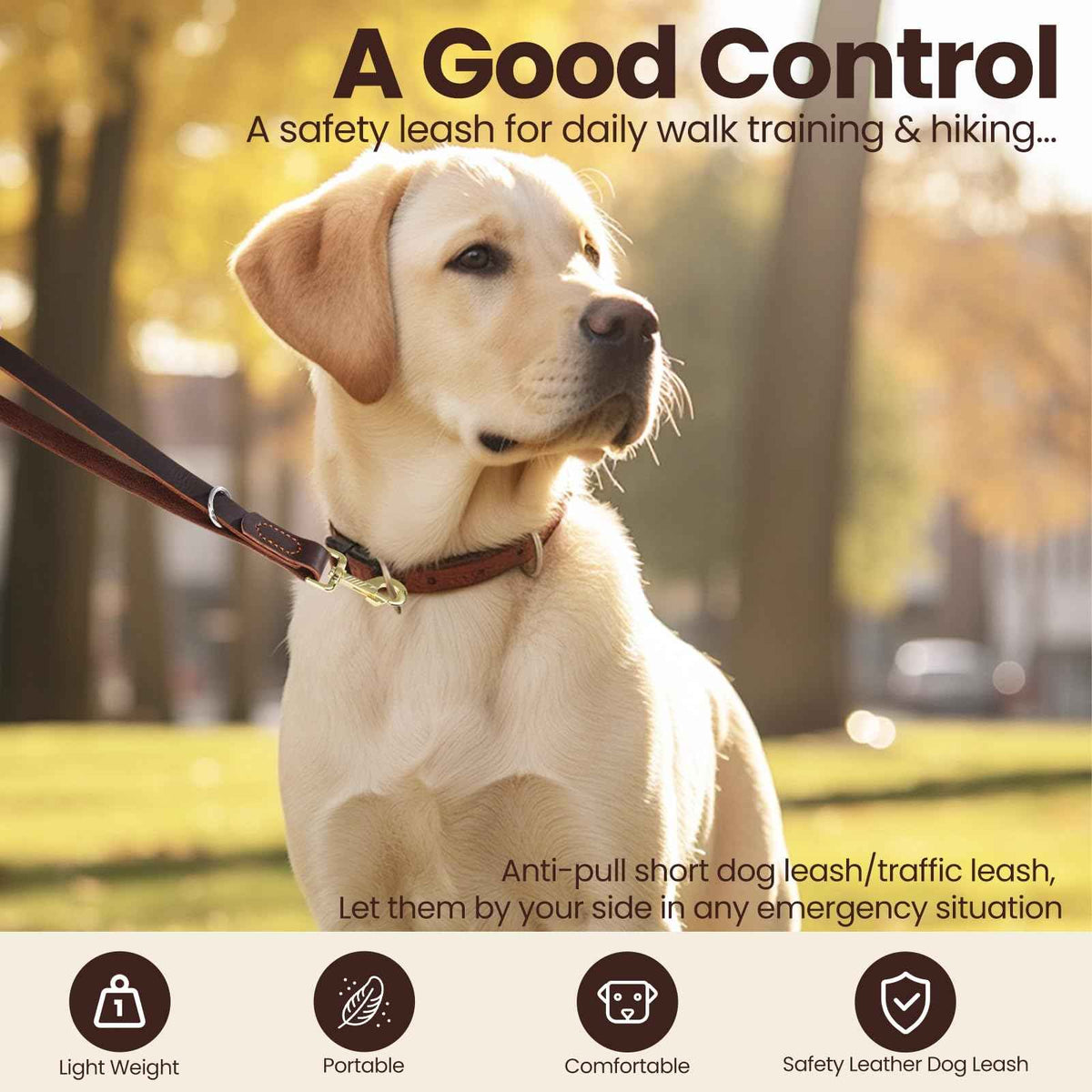 Leather Dog Leash (2.0 ft L x 0.75 in W)