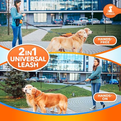 Active Pack Hands Free 2 Dogs Leash Medium & Large (Active Premium Orange Pack / 2 dogs M/L)